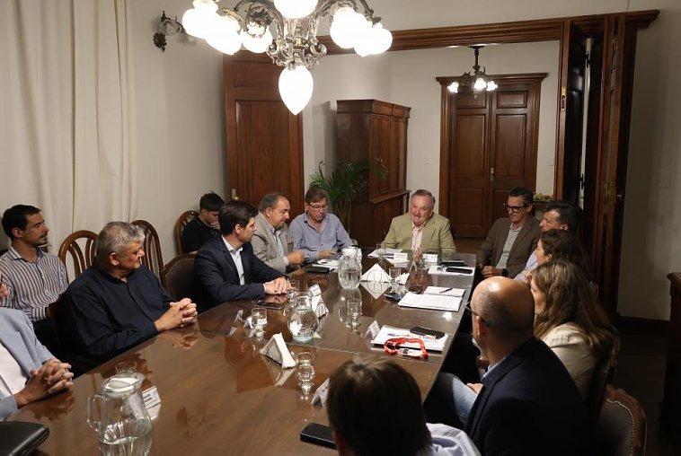 Intendentes y legisladores analizaron en el Senado la reforma de la Ley Org&aacute;nica de Municipios