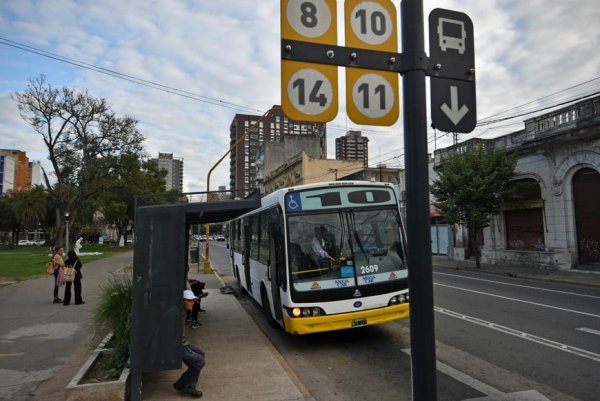 Senadores se suman al reclamo por la quita de fondos nacionales para el transporte p&uacute;blico
