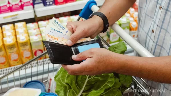 Las familias cambian marcas por ofertas y compras diarias para llegar a fin de mes