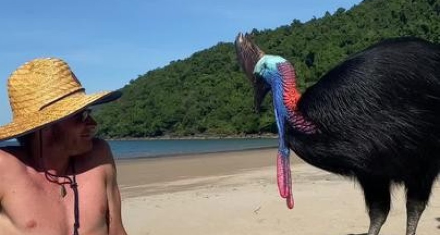 Un grupo de j&oacute;venes estuvo en presencia de una ave peligrosa sin saberlo