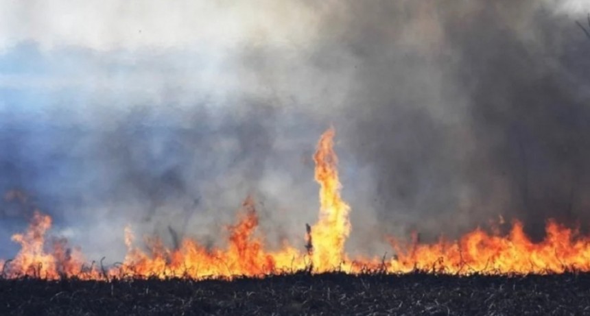 Incendios forestales en Santa Fe y otras cinco provincias 