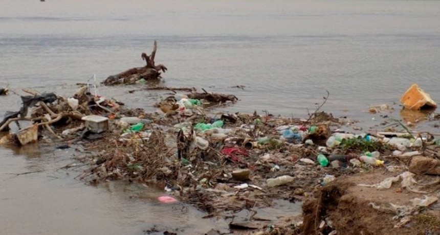 Mart&iacute;n Bletter: "El 100 % de los s&aacute;balos analizados del r&iacute;o Paran&aacute; ten&iacute;an micropl&aacute;sticos"