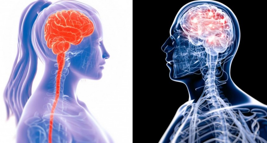 Nuestro cerebro se da cuenta de que estamos muertos: sigue activo unos minutos despu&eacute;s del fallecimiento