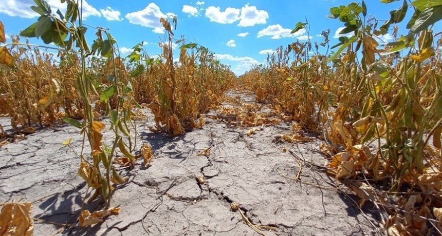 Santa Fe perdi&oacute; U$S 7 mil millones en exportaci&oacute;n por la sequ&iacute;a