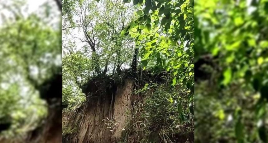 Joven dice haber encontrado un duende