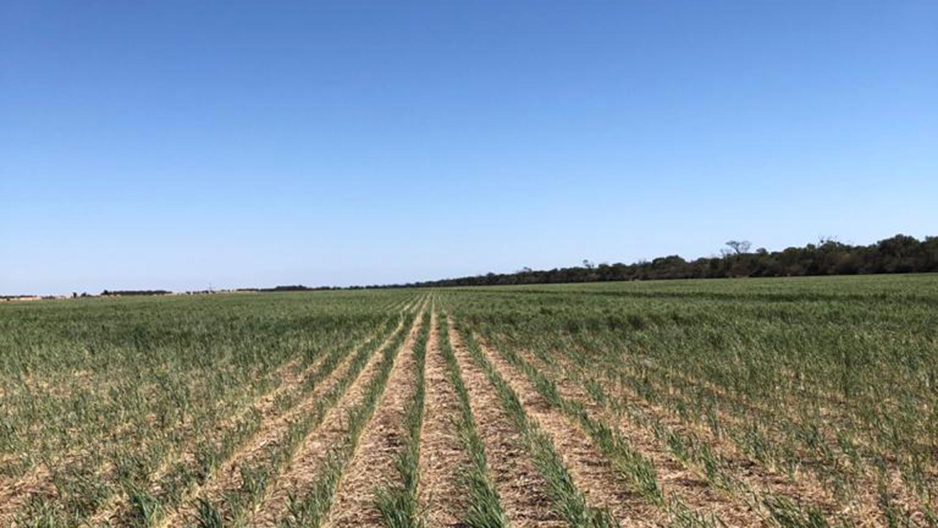 El campo considera que la situaci&oacute;n es altamente critica
