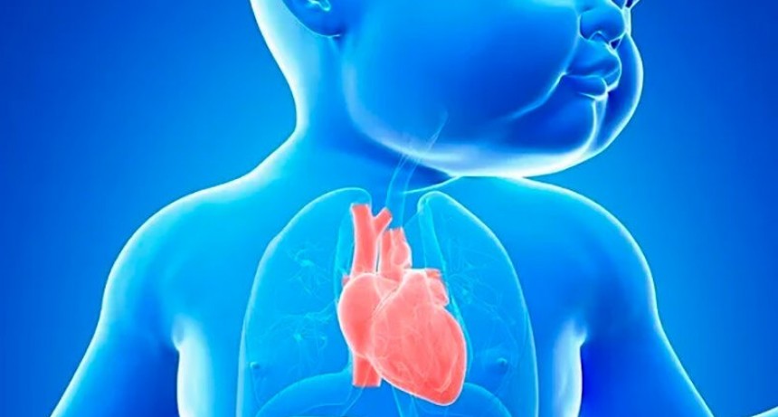 Alerta por el programa de cardiopat&iacute;as cong&eacute;nitas