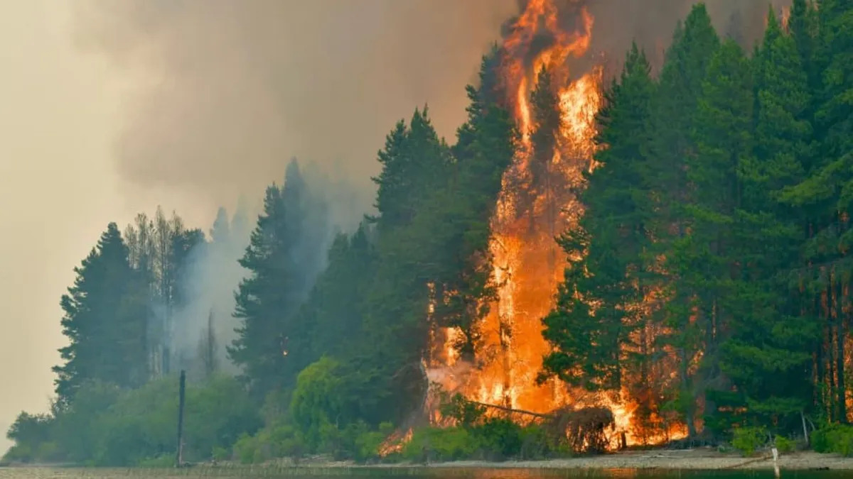 Contin&uacute;an los incendios en Chubut