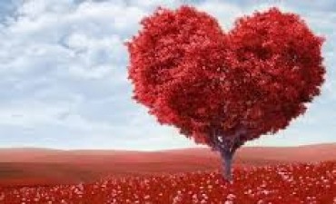 Los argentinos gastar&iacute;an cuatrocientos cincuenta pesos promedio por el D&iacute;a de los Enamorados 