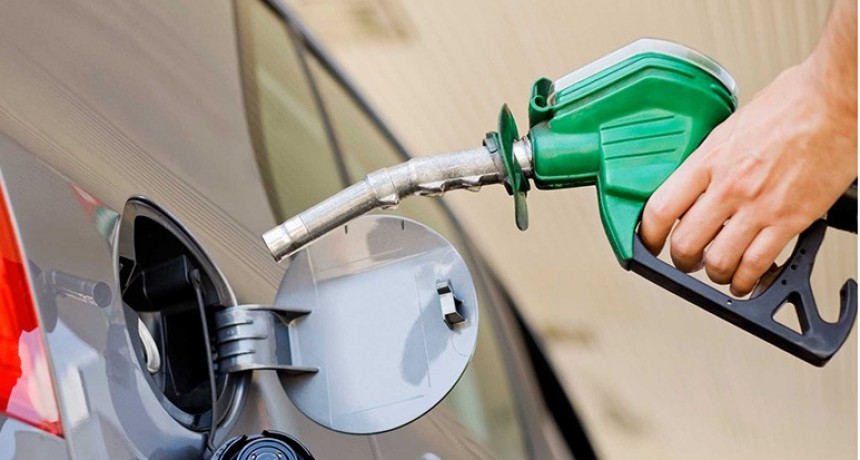 La venta de combustibles cay&oacute; 3,5 por ciento en enero