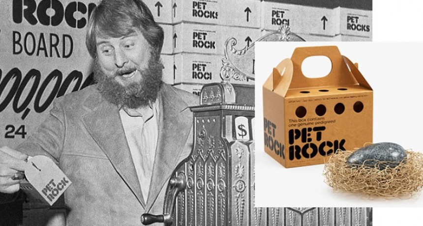 Un hombre hizo una fortuna vendiendo piedras como mascotas