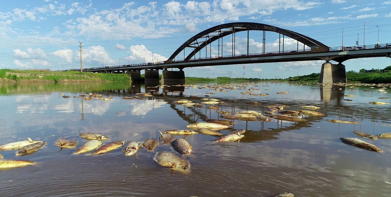 Contaminaci&oacute;n en el R&iacute;o Salado