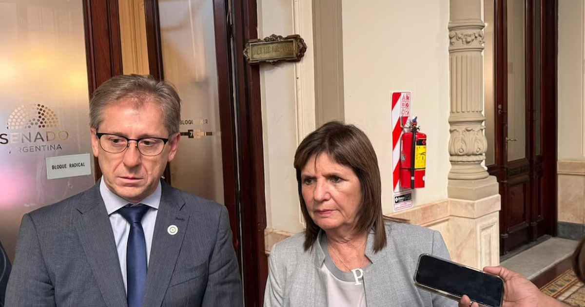 Bullrich firm&oacute; el pedido de sesi&oacute;n por la reforma laboral