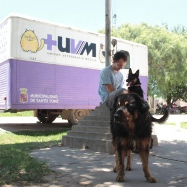 Castraci&oacute;n gratuita de mascotas en vecinal Iriondo de Santo Tom&eacute; 