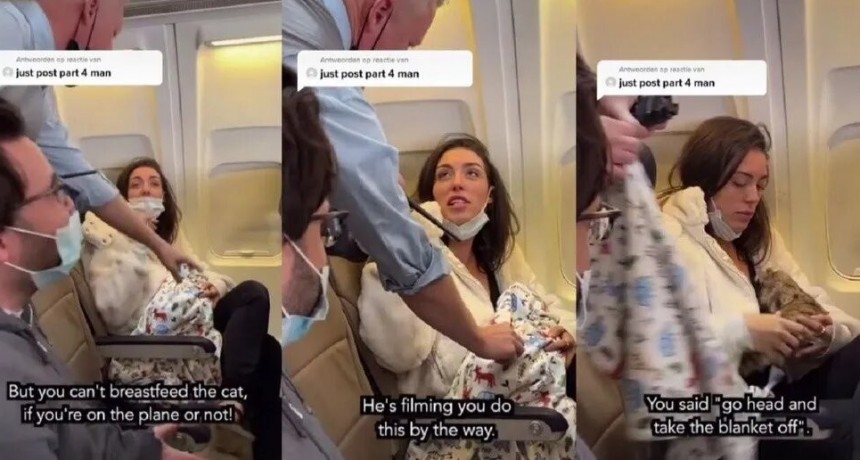 Una mujer llevaba un gato como si fuese un beb&eacute; durante un vuelo
