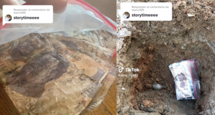 Hombre encuentra sus ahorros arruinados tras desenterrarlos