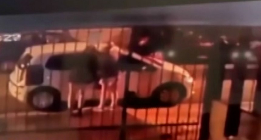 Robos pira&ntilde;as y forcejeo de portones 