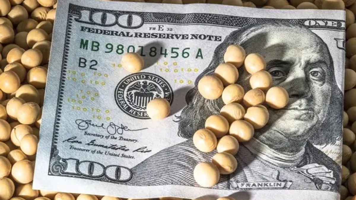 El agro fren&oacute; la liquidaci&oacute;n de d&oacute;lares 
