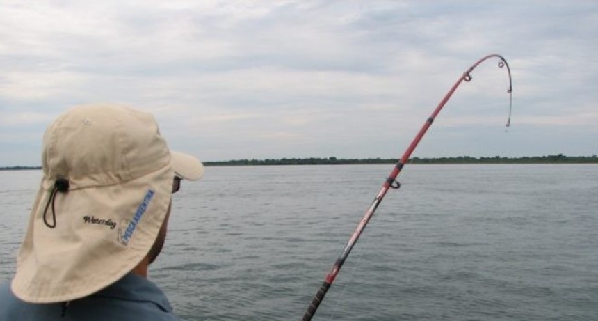 Piden prohibir la pesca en la provincia para preservar el recurso