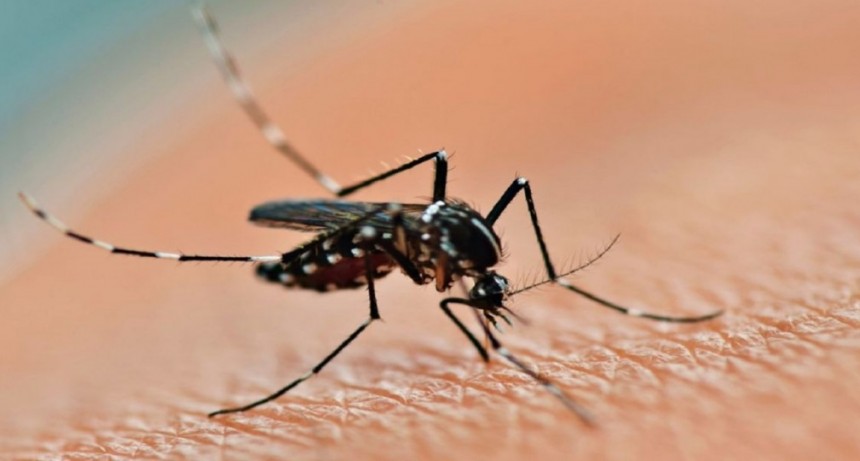 Nueva muerte por Dengue en Santa Fe