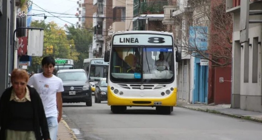 Colectivos en estado de alerta