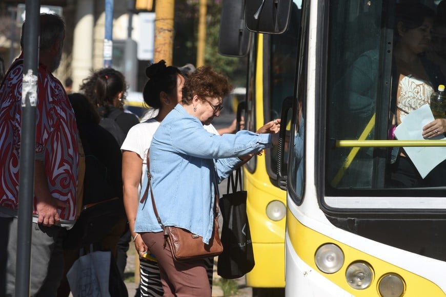 Se cre&oacute; la L&iacute;nea 22 de colectivos