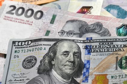 Victoria Yori: &ldquo;En general, hay un parte que se traslada a precios cuando se modifica la pol&iacute;tica cambiaria&rdquo;