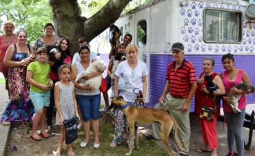 Castraci&oacute;n de mascotas en barrio Zaspe de Santo Tom&eacute; 