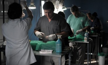 Castraci&oacute;n de mascotas en vecinales Centenario y Estrada de Santa Fe 