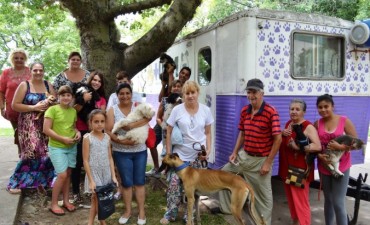 Castraci&oacute;n de mascotas en Santo Tom&eacute; 