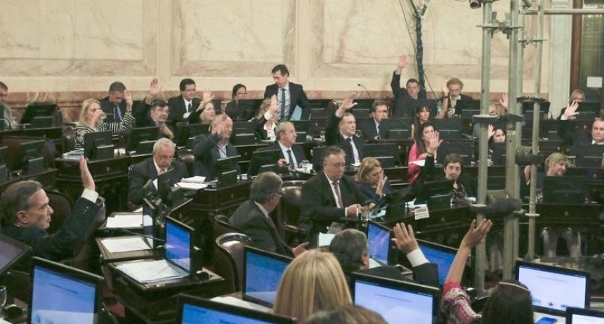 El Senado debate el proyecto para retrotraer tarifas de servicios p&uacute;blicos 