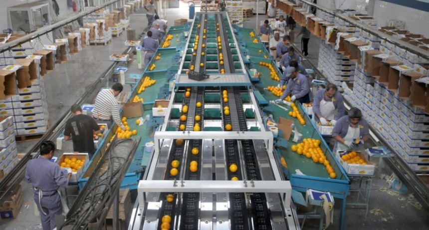 El 30% de los trabajos formales estar&iacute;a comprometido despu&eacute;s de la Pandemia