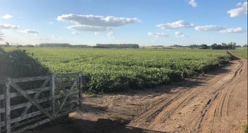 El ministerio de Producci&oacute;n considera que debe haber m&aacute;s controles sobre los intermediarios de la cadena de la carne