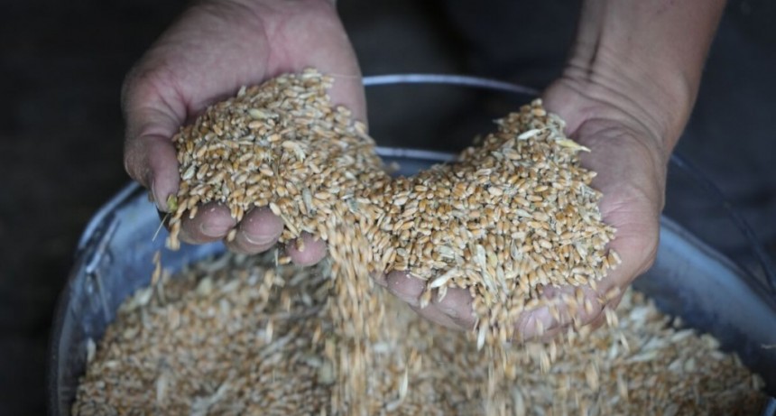 Rub&eacute;n Walter: &ldquo;Si Europa deja de importar de &aacute;reas deforestadas, Santa Fe no tendr&iacute;a problemas con la Soja pero con la Carne hay que seguir trabajando&rdquo;