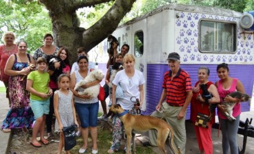 Castraci&oacute;n de mascotas en Santo Tom&eacute; 