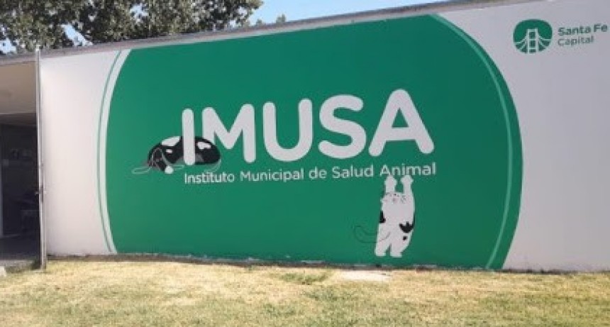 El Instituto de salud municipal de mascotas realiz&oacute; 8.000 intervenciones en este &uacute;ltimo tiempo 