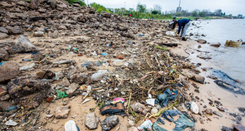 Mart&iacute;n Bletter: "El 100 % de los s&aacute;balos analizados del r&iacute;o Paran&aacute; ten&iacute;an micropl&aacute;sticos"