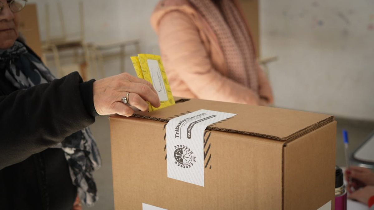 Emilio Scotta: "Que haya votado el 46% de la gente ayer, mas que una cat&aacute;strofe es un milagro"