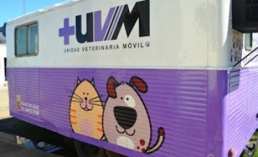 Castraci&oacute;n de mascotas en vecinal El Chaparral de Santo Tom&eacute; 