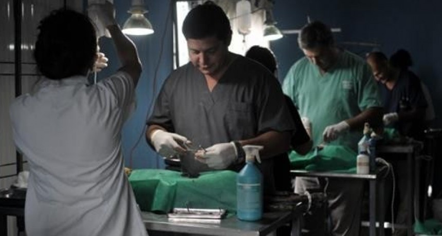 Castraci&oacute;n de mascotas en vecinal 7 de Marzo de Santo Tom&eacute;