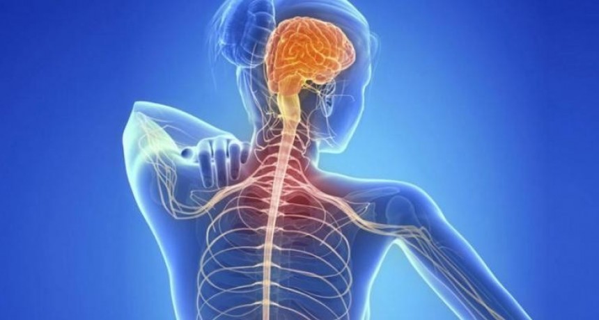 Detectaron 1.063 santafesinos con diagn&oacute;stico de esclerosis m&uacute;ltiple 