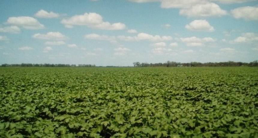 Ignacio M&aacute;ntaras: &ldquo;No nos extra&ntilde;ar&iacute;a que haya ataques a Silo Bolsas y el responsable va a ser el presidente&rdquo;