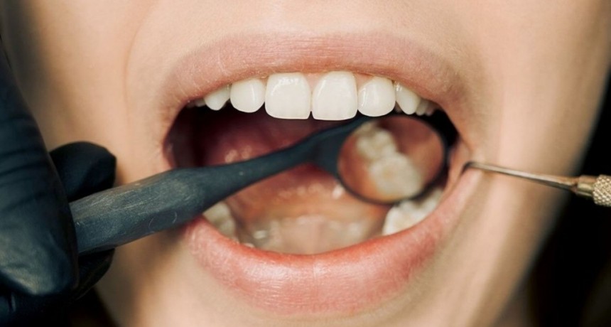 Desarrollan f&aacute;rmaco que regenera los dientes ca&iacute;dos