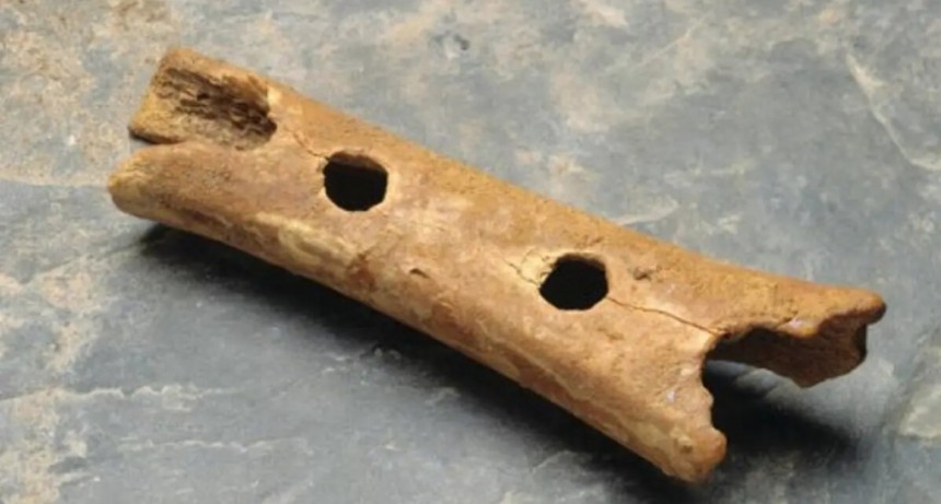 Una flauta de Neandertales es el instrumento m&aacute;s viejo del mundo