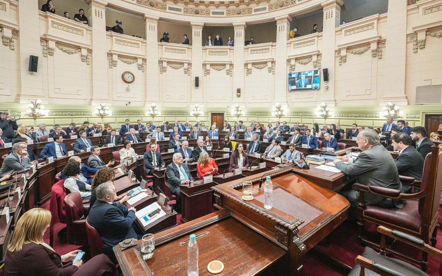 Mar&iacute;a Bel&eacute;n Gutierrez: &ldquo;La reforma fue implementada de forma abrupta&rdquo;