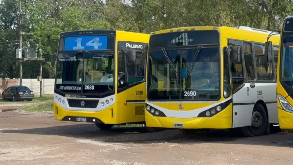 Cambios en los subsidios nacionales del transporte p&uacute;blico de pasajeros