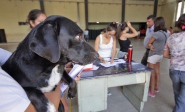 Vacunaci&oacute;n antirr&aacute;bica en vecinal Sargento Cabral de Santo Tom&eacute; 