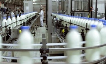 La producci&oacute;n mundial de leche acumulaba resultados negativos en el a&ntilde;o
