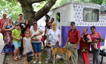 Castraci&oacute;n de mascotas en barrio Zaspe de Santo Tom&eacute; 