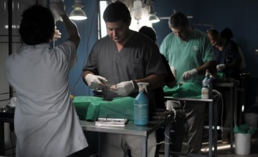 Castraci&oacute;n de mascotas en vecinal Villa Luj&aacute;n de Santo Tom&eacute;